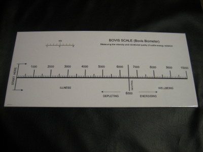 画像: ボヴィス　スケール　ＢＯＶＩＳ　ＳＣＡＬＥ　をアップしました。