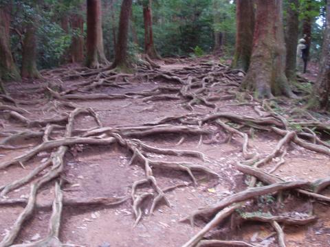 画像: 今日はポルトハウスの霊授会でした。